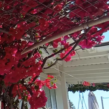 Summer House In Corfu Town