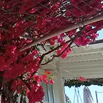Summer House In Corfu Town
